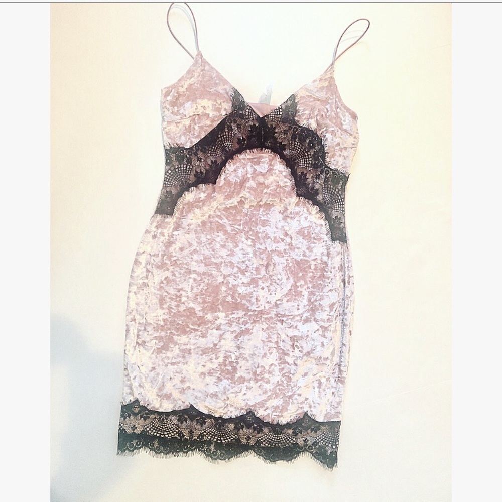 NWOT Blue Blush Clothing Pink velvet lace dress